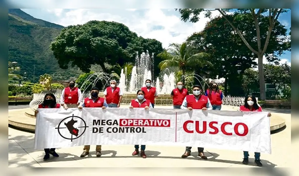 Labor. 17 auditores cumplirán las acciones de control. Labor. 17 auditores cumplirán las acciones de control.