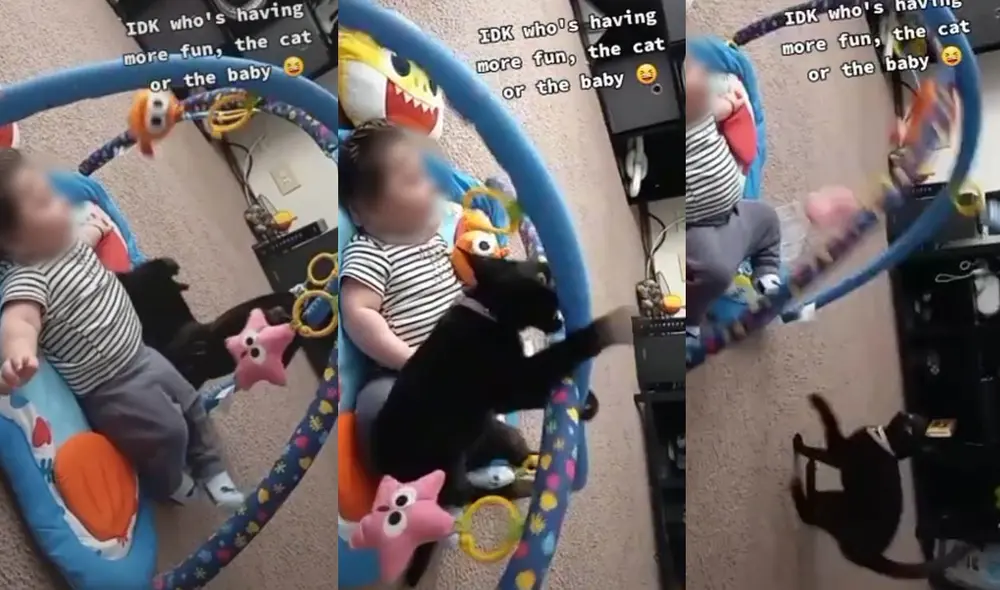 El gatito se divirtió jugando con los peluches que colgaban del arco que incluía el regalo. Foto: captura de TikTok