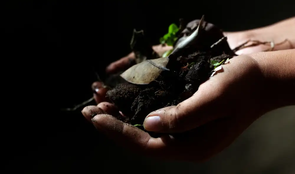 El compost es un fertilizante orgánico que contribuye con el medio ambiente. Foto: AFP El compost es un fertilizante orgánico que contribuye con el medio ambiente. Foto: AFP