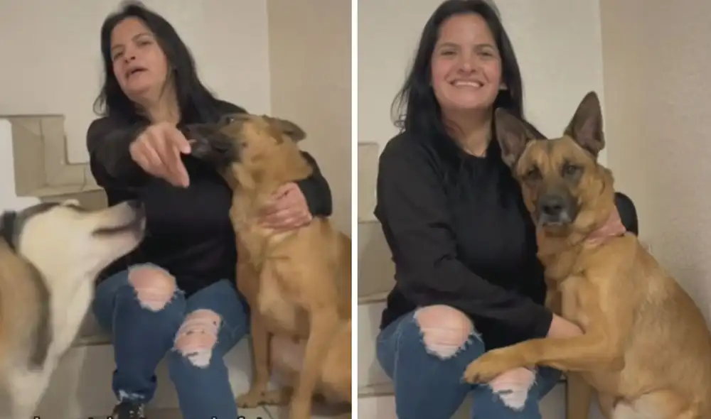 Las tiernas imágenes lograron cautivar a miles de usuarios en las redes sociales. Foto: captura de TikTok