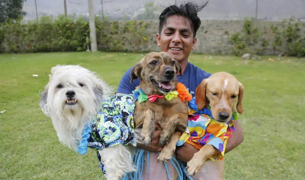 Las mascotas han sido un gran soporte para sus dueños durante la pandemia de la COVID-19. Foto: La República
