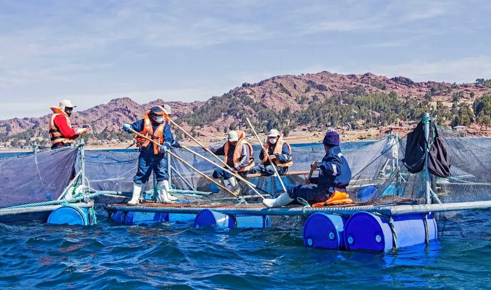 Se proyecta que este año la cosecha acuícola aumentaría en 4% con relación al 2021. Foto: Ministerio de la Producción.
