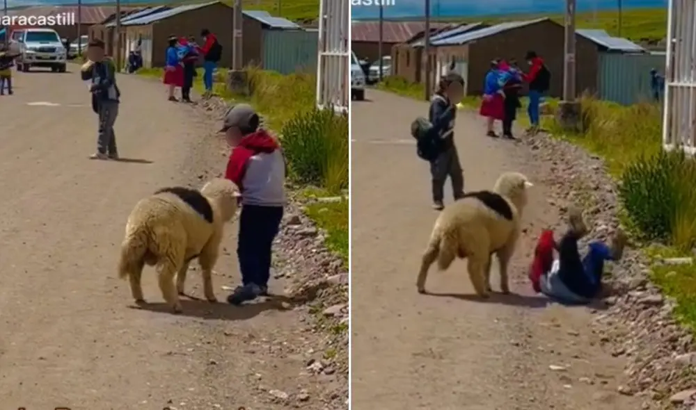 La viral escena logró obtener miles de comentarios de los usuarios, quienes pidieron más publicaciones de 'La Pepo'. Foto: captura de Facebook