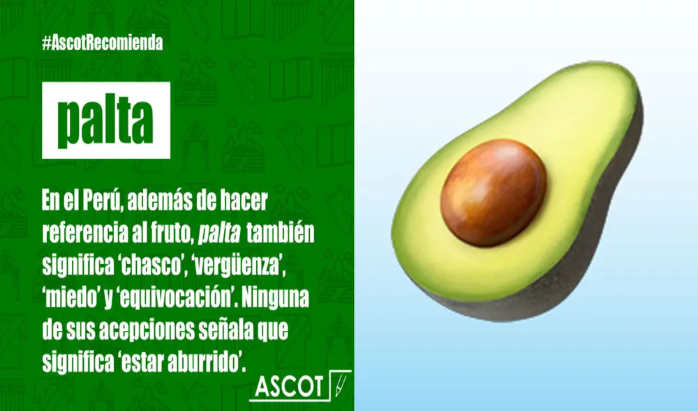 Las reacciones de los usuarios no tardaron en aparecer respecto al significado de 'palta'. Foto: captura de Facebook Las reacciones de los usuarios no tardaron en aparecer respecto al significado de 'palta'. Foto: captura de Facebook