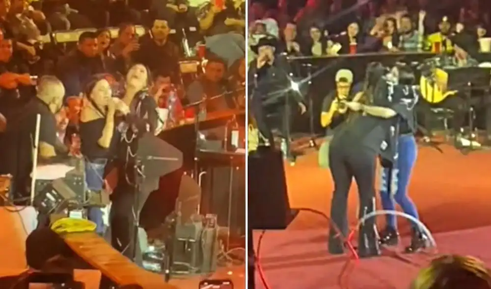 La viral escena logró obtener miles de reproducciones en poco tiempo y fue compartida en diferentes plataformas sociales. Foto: captura de TikTok La viral escena logró obtener miles de reproducciones en poco tiempo y fue compartida en diferentes plataformas sociales. Foto: captura de TikTok