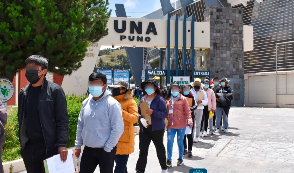 UNA Puno fue licenciada por Sunedu: UNA Puno