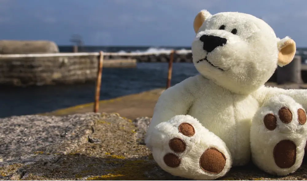 Trucos caseros para lavar peluches en la lavadora y a mano sin que se maltraten. Dales una nueva oportunidad y protege tu salud. Foto: Pxhere