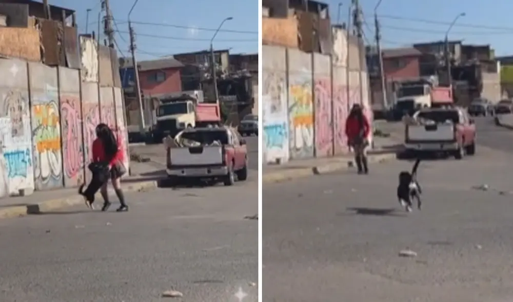 Las imágenes lograron conmover a miles de usuarios en las redes sociales. Foto: captura de TikTok