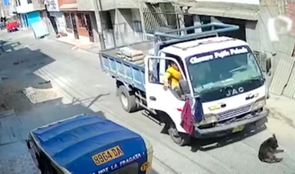 Vecinos de San Juan de Lurigancho se encuentran muy apenados por el hecho, ya que señalan que el can era apreciado. Foto: captura Panamericana