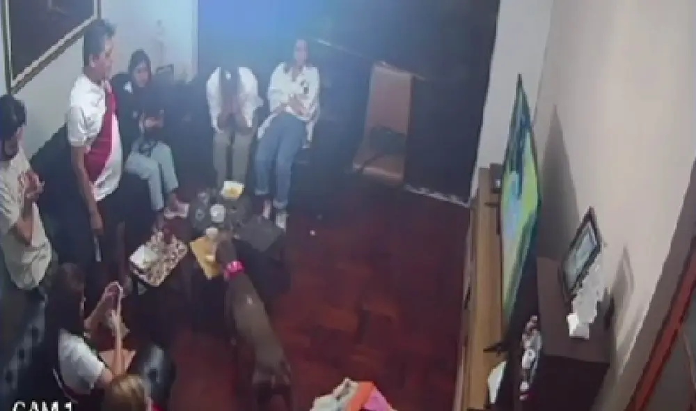 El animalito Ares se acercó sigilosamente a sus cuidadores para quitarles su comida. Foto: captura de TikTok El animalito Ares se acercó sigilosamente a sus cuidadores para quitarles su comida. Foto: captura de TikTok