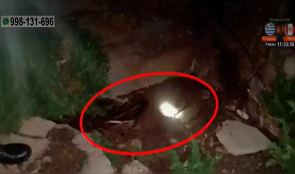 Familia del menor exige justicia para el niño. Foto: captura / América