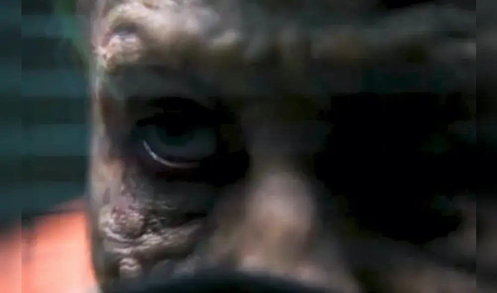 La escena eliminada de "The Batman" muestra al al nuevo Joker de Barry Keoghan. Foto: Warner Bros. Pictures