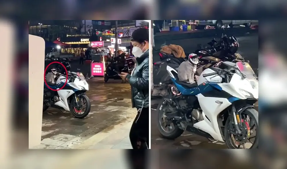 El clip sumó 2,2 millones de reproducciones en la red social. Foto: captura de TikTok