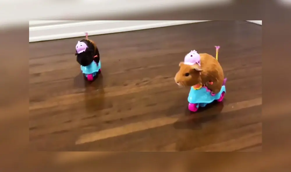 El video obtuvo más de 300.000 reproducciones en la red social. Foto: captura de TikTok