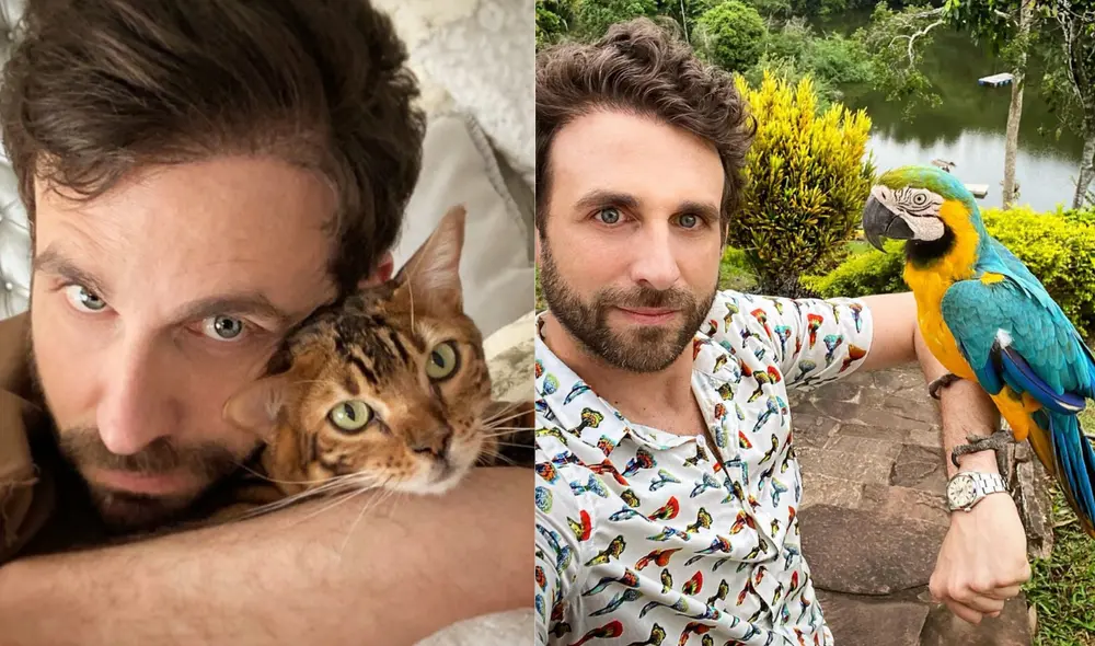 ¡Conoce al nuevo minino que se robó el corazón de Rodrigo González! Foto: Rodrigo González/Instagram