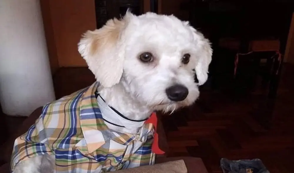 Luno está retenido en España desde el pasado 14 de marzo. Foto: Europa Press Luno está retenido en España desde el pasado 14 de marzo. Foto: Europa Press