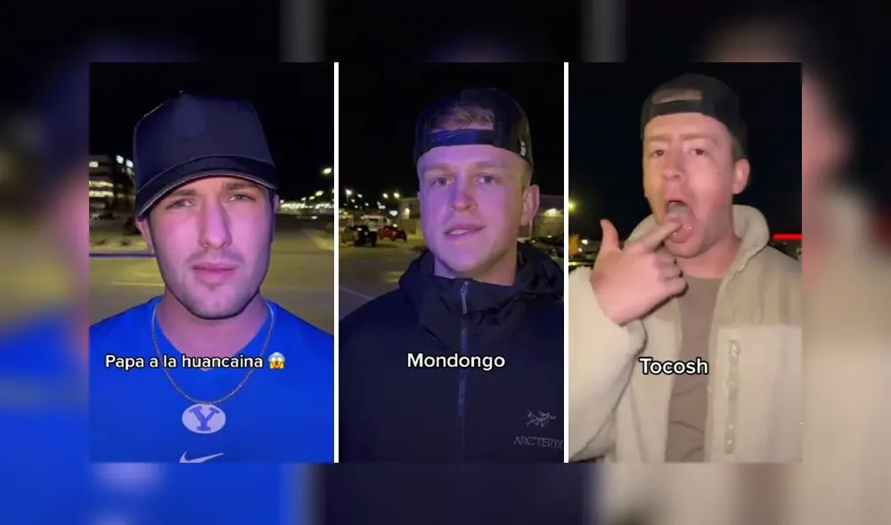 El clip viral consiguió más de un millón de reproducciones. Foto: captura de TikTok