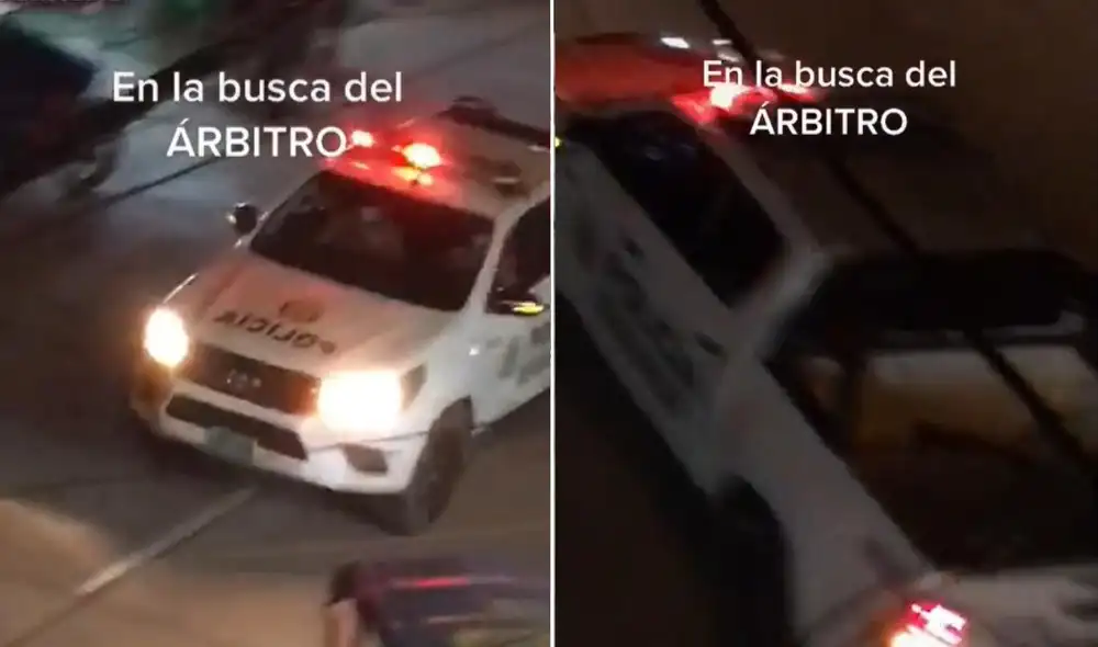 La viral escena logró obtener más de 232.000 reproducciones y 29.000 'me gusta' en poco tiempo. Foto: captura de TikTok