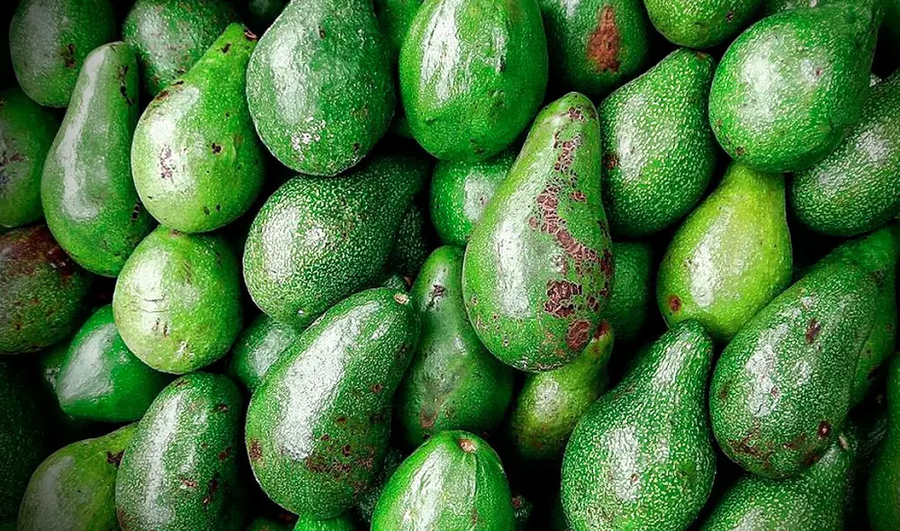 Palta peruana detenida en Países Bajos. La exposición a niveles de cadmio más bajos durante un período prolongado puede aumentar la fragilidad de los huesos, de manera que se pueden quebrar fácilmente. Foto: difusión