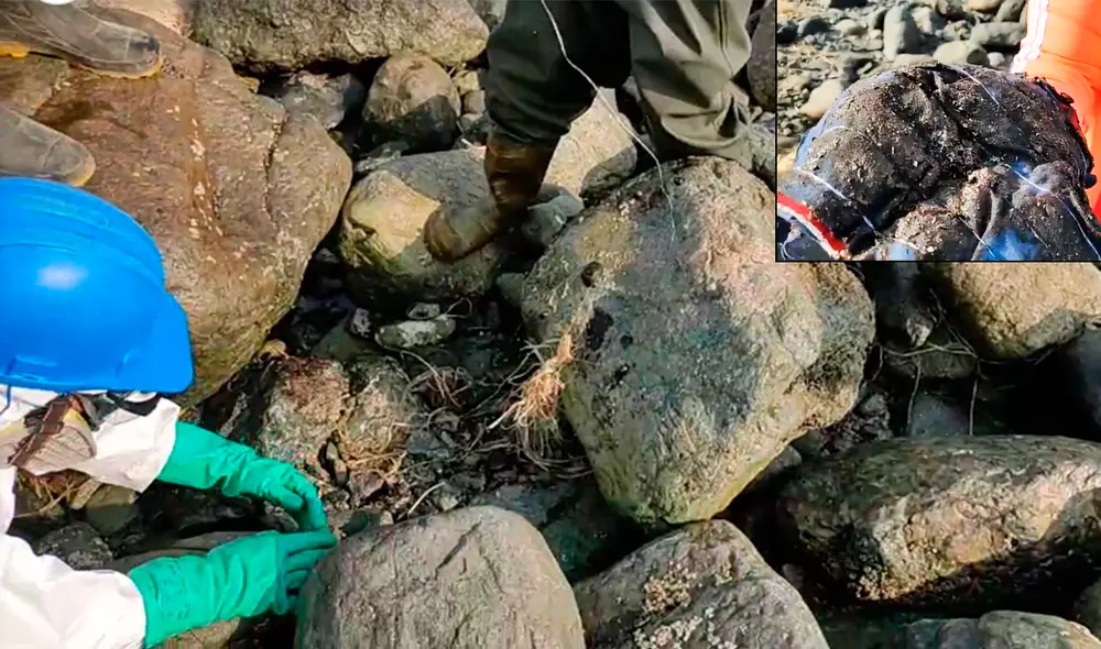 Exigen que Repsol contrate maquinarias pesadas para que ayuden con la limpieza de playa Pocitas, Ancón. Foto: captura de pantalla El Fiscalizador Exigen que Repsol contrate maquinarias pesadas para que ayuden con la limpieza de playa Pocitas, Ancón. Foto: captura de pantalla El Fiscalizador