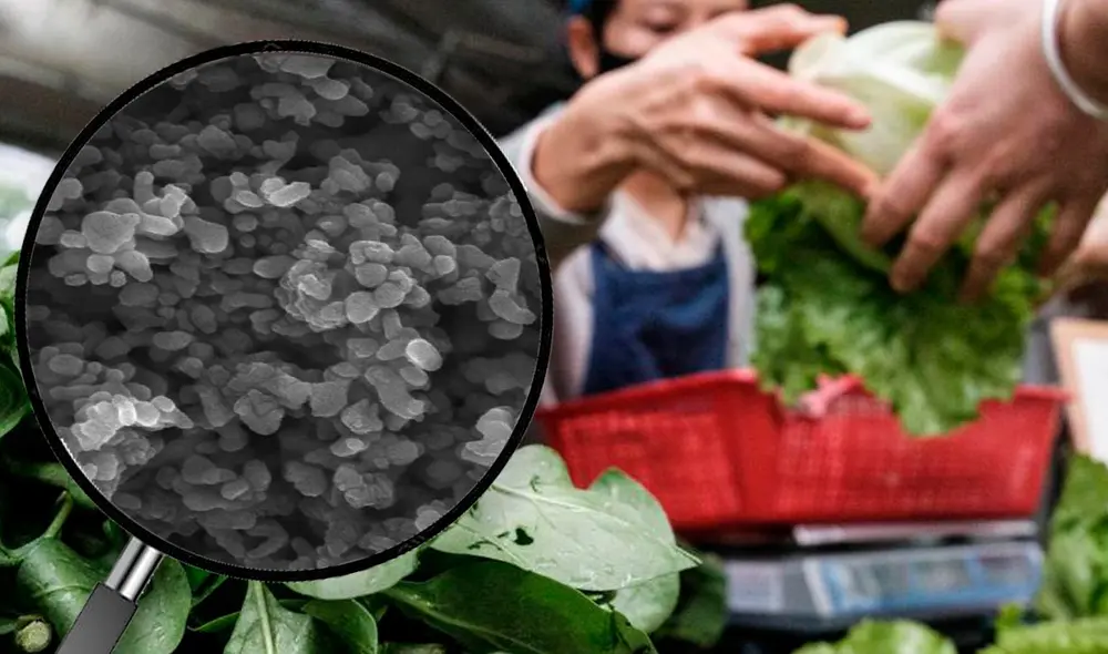 El cadmio se adhiere con facilidad a las plantas y productos agrícolas. Foto: composición / Hoseini & Bagheri / AFP El cadmio se adhiere con facilidad a las plantas y productos agrícolas. Foto: composición / Hoseini & Bagheri / AFP