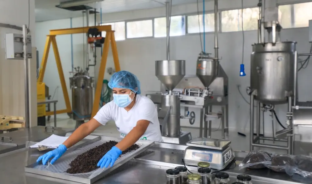 Pueden postular emprendimientos de todos los sectores productivos legalmente constituidos en su país de origen. Foto: Produce.