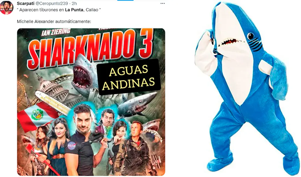 Confirmaron que la especie es un tiburón azul. Foto: composición/capturas de Twitter Confirmaron que la especie es un tiburón azul. Foto: composición/capturas de Twitter