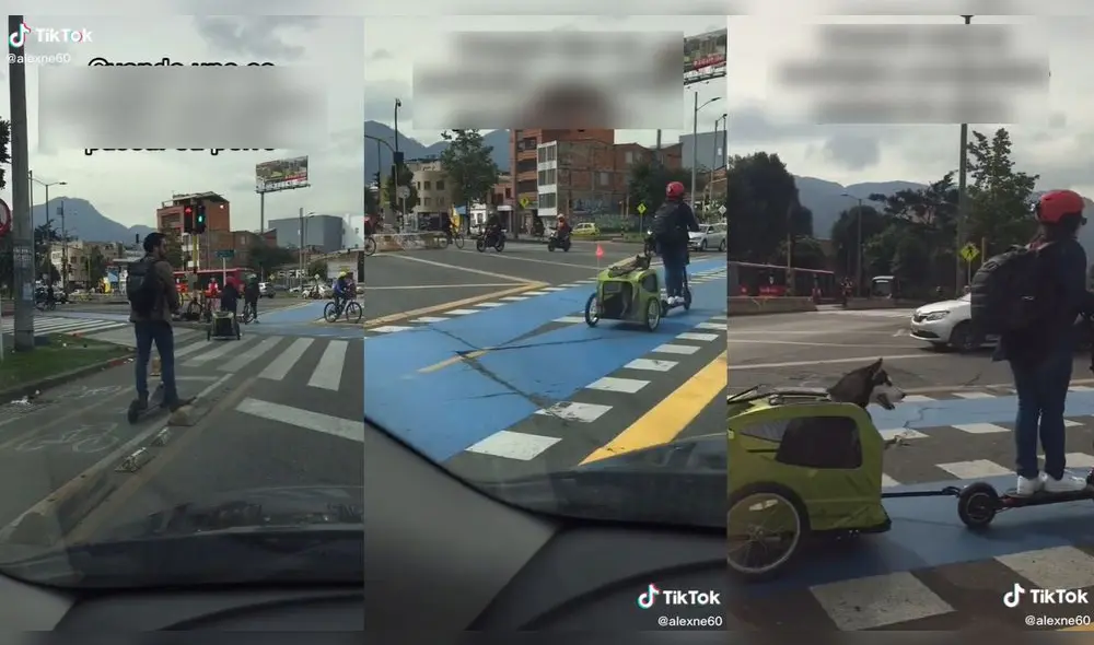 La mujer llevaba al perrito en una minimototaxi. Foto: captura de TikTok La mujer llevaba al perrito en una minimototaxi. Foto: captura de TikTok