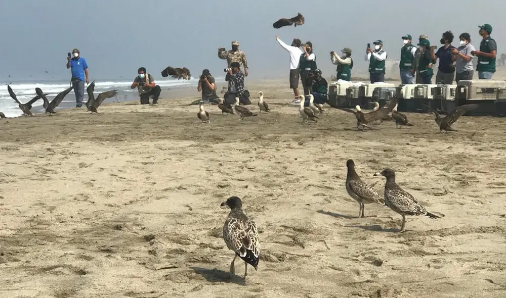 Evento se realizó la mañana de este miércoles. Foto: Municipalidad de Lima