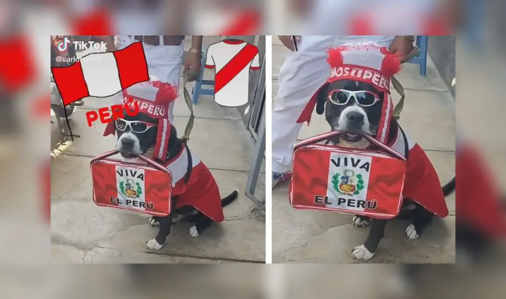 La escena consiguió más de 517.000 reproducciones en la red social. Foto: captura de TikTok La escena consiguió más de 517.000 reproducciones en la red social. Foto: captura de TikTok