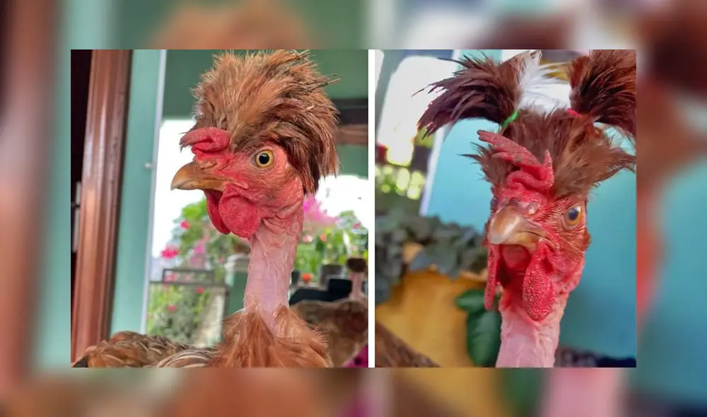 El clip obtuvo 4,4 millones de ‘me gusta’ en la red social. Foto: captura de Instagram El clip obtuvo 4,4 millones de ‘me gusta’ en la red social. Foto: captura de Instagram