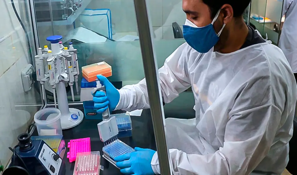 Proyecto es financiado por casa universitaria. Foto: referencial/UNSA