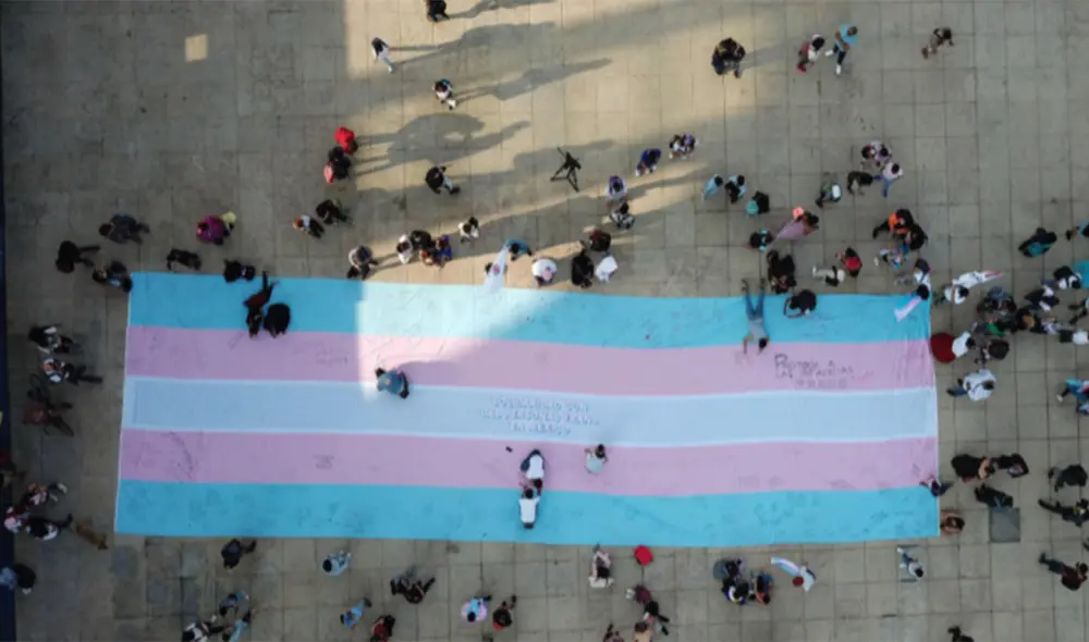 El color celeste, blanco y rosado son utilizados por la comunidad trans en su bandera representativa. Foto: EFE El color celeste, blanco y rosado son utilizados por la comunidad trans en su bandera representativa. Foto: EFE