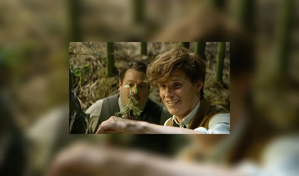 Newt Scamander es el autor del famoso libro "Animales fantásticos y dónde encontrarlos". Foto: Warner Bros. Pictures