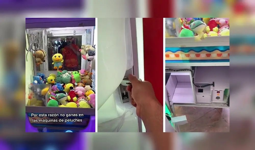 La grabación sumó alrededor de 2,1 millones de visualizaciones en la red social. Foto: captura de TikTok La grabación sumó alrededor de 2,1 millones de visualizaciones en la red social. Foto: captura de TikTok