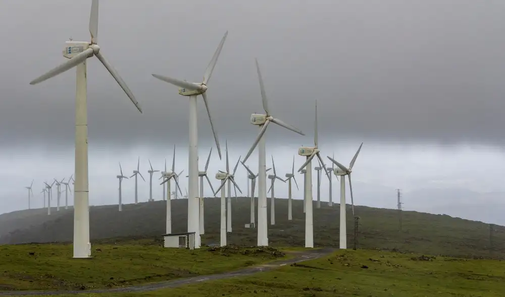 El financiamiento servirá para apoyar reformas que fortalezcan los cimientos para una recuperación económica verde. Foto: Envato
