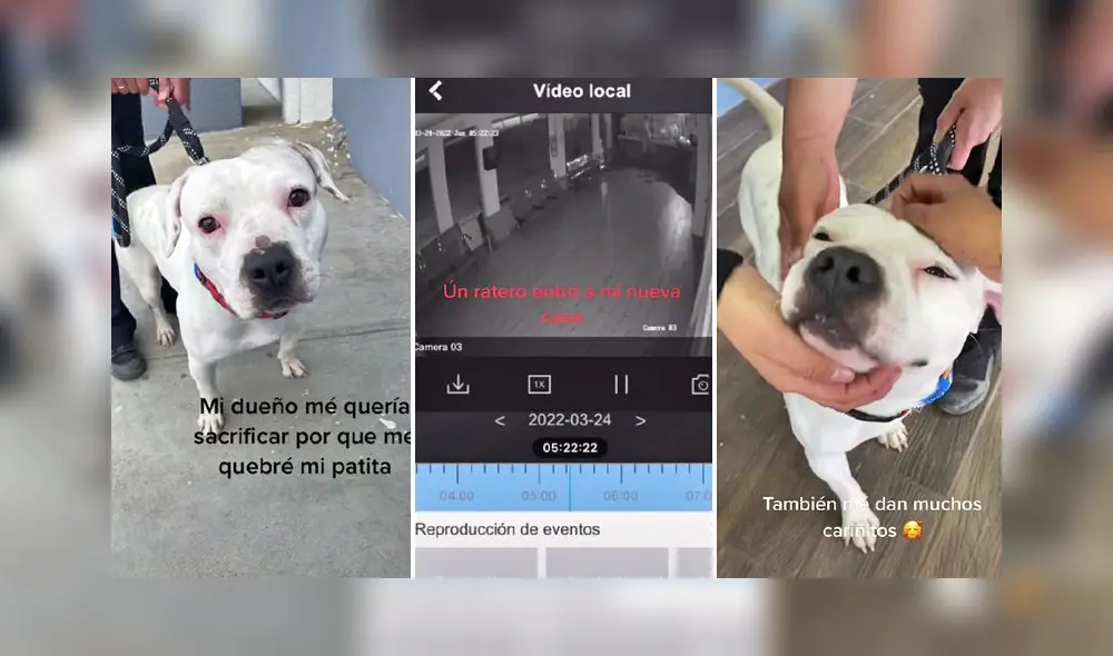 El video sumó alrededor de 2 millones de reproducciones. Foto: captura de TikTok