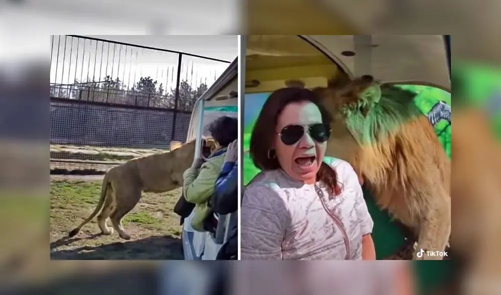 La singular escena consiguió más de 5,2 millones de reproducciones en la red social. Foto: captura de TikTok La singular escena consiguió más de 5,2 millones de reproducciones en la red social. Foto: captura de TikTok