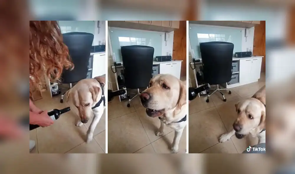 La escena consiguió más de 553.100 reproducciones en la red social. Foto: captura de TikTok