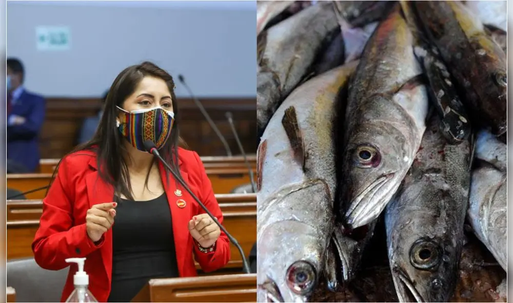 Congresista Portalatino presentó el proyecto de ley n.º 202-2021-CR. Foto: composición La República