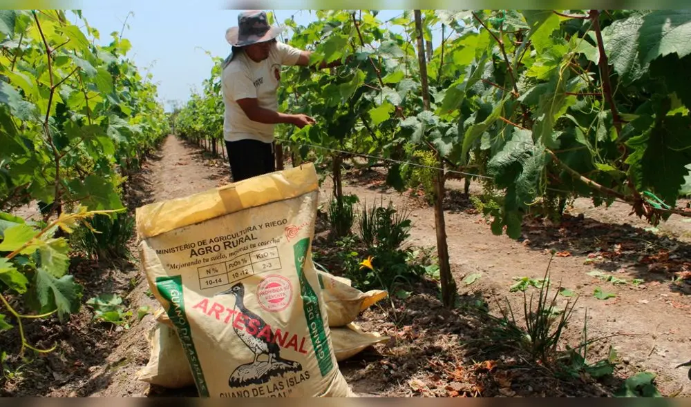 Guano de las islas será para la agricultura familiar en comunidades de San Juan en Sihuas. Foto: Agro Rural. Guano de las islas será para la agricultura familiar en comunidades de San Juan en Sihuas. Foto: Agro Rural.