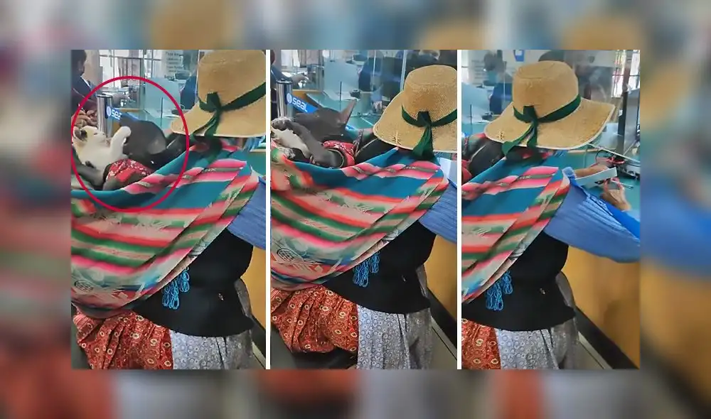 La grabación sumó alrededor de 2,5 millones de reproducciones. Foto: captura de TikTok La grabación sumó alrededor de 2,5 millones de reproducciones. Foto: captura de TikTok