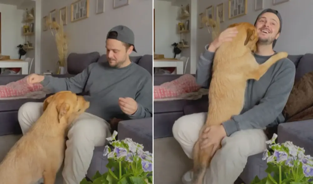 Miles de usuarios quedaron cautivados con la conducta de esta perrita. Foto: captura de TikTok Miles de usuarios quedaron cautivados con la conducta de esta perrita. Foto: captura de TikTok