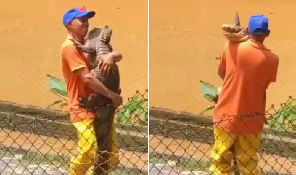 La viral escena publicada por @wenmendoza logró obtener miles de reproducciones en tan solo horas. Foto: captura de Facebook La viral escena publicada por @wenmendoza logró obtener miles de reproducciones en tan solo horas. Foto: captura de Facebook