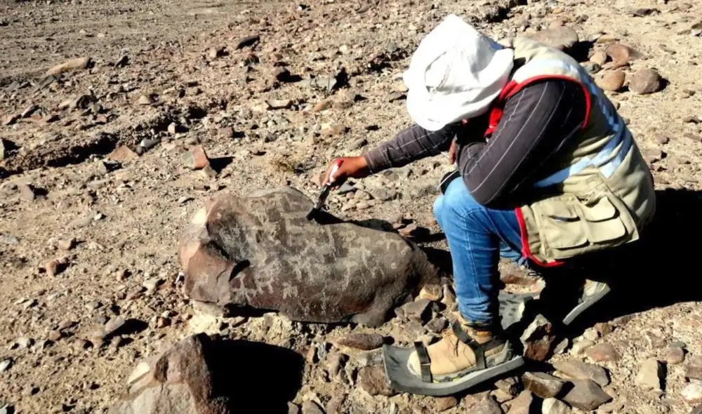 Descubrimientos fueron presentados en Tacna tras intensa labor de arqueólogos. Foto: Gobierno Regional de Tacna