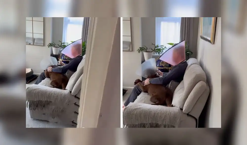 La escena consiguió más de 710.000 reproducciones en la red social. Foto: captura de Facebook