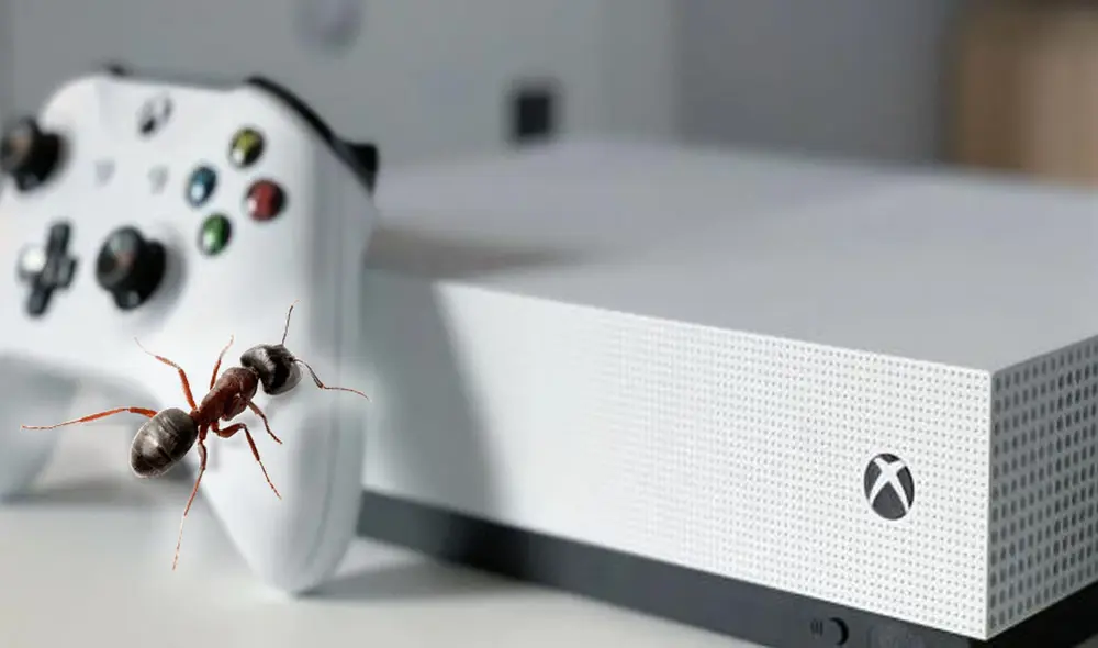 No es la primera vez que suceden estos problemas. Foto: Egames