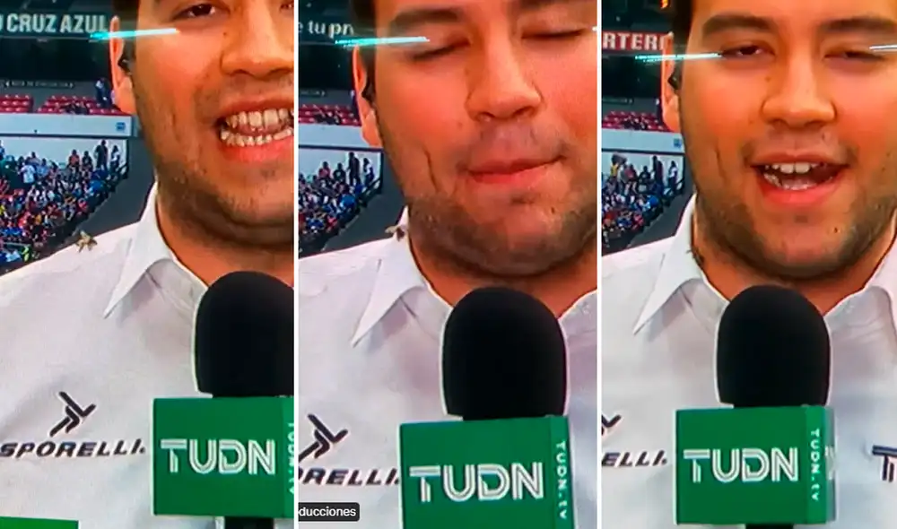 El periodista realizaba su despacho en un estadio de México cuando de pronto la abeja se posó sobre su hombro. Foto: captura de Facebook