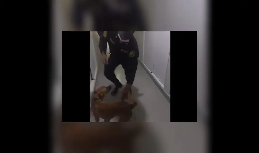 El can fue encerrado en el balcón de un departamento. Foto: captura video PNP El can fue encerrado en el balcón de un departamento. Foto: captura video PNP
