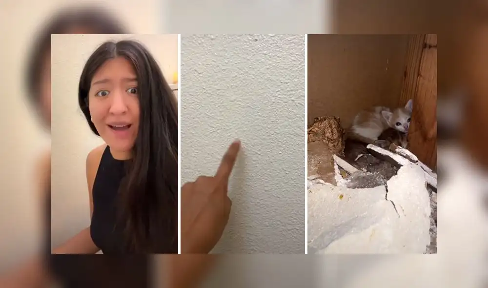 El clip consiguió más de 1,7 millones de reproducciones. Foto: captura de TikTok